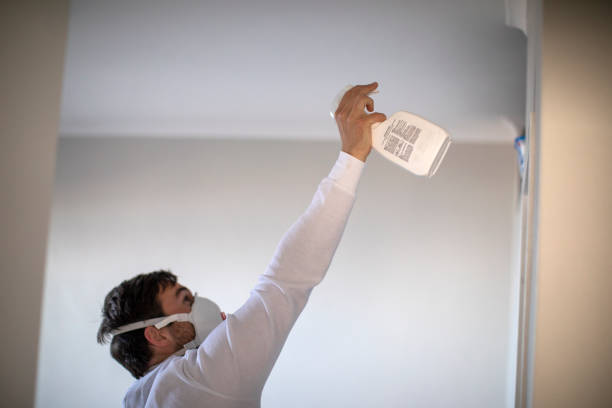 Best Emergency Mold Removal  in Welsh, LA