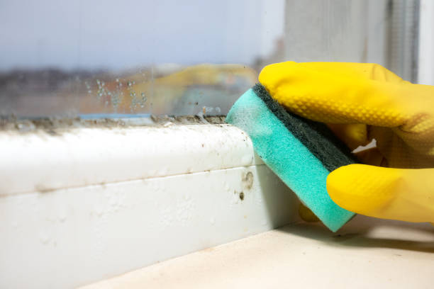 Best Mold Testing  in Welsh, LA