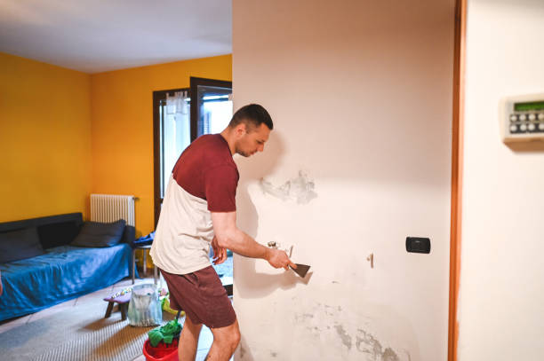 Best Mold Removal Company Near Me  in Welsh, LA