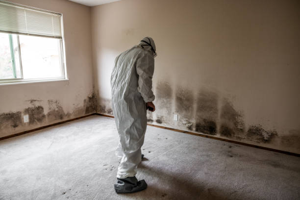 Crawl Space Mold Removal in Welsh, LA